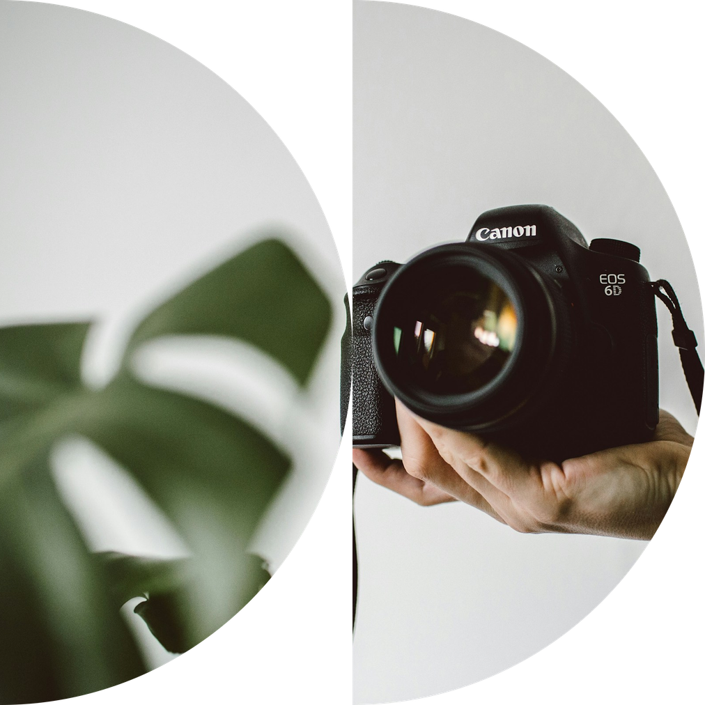 header-content-creatie-fotografie